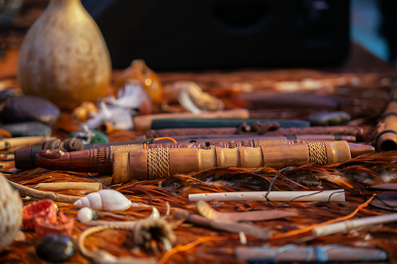 Power to the Pūoro, 2021. Photo by Jo Moore. Te Papa (181529)