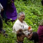 Hikoi ki hauhake ngā rau Kawakawa i Te rere o Waingerengere Bay
