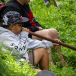 Hikoi ki hauhake ngā rau Kawakawa i Te rere o Waingerengere Bay