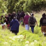 Hikoi ki hauhake ngā rau Kawakawa i Te rere o Waingerengere Bay