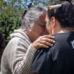 Mohanakenake: nā Jo'el Komene - Rōreka i hanga