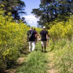 Hīkoi o te Motu – Awakening Oro