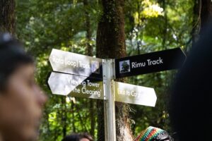 Haerenga ki Maungatautari i He Tangi Rōreka