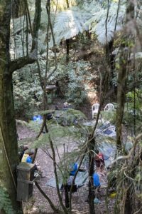 Haerenga ki Maungatautari i He Tangi Rōreka