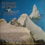 Friends of Māui – New Zealand Birds of the Sea